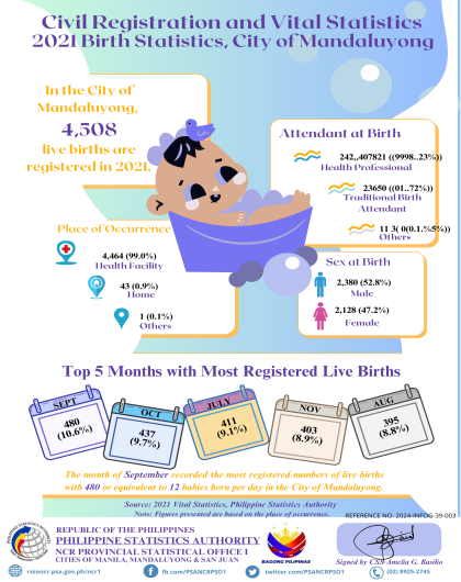 2021 Birth Statistics, City of Mandaluyong