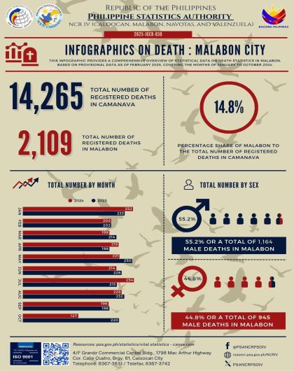 Infographics on Death Statistics - Malabon City