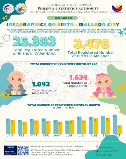 Infographics on Birth - Malabon City