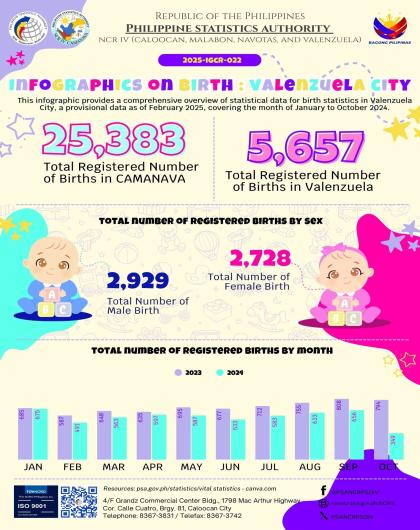 Infographics on Birth - Valenzuela City