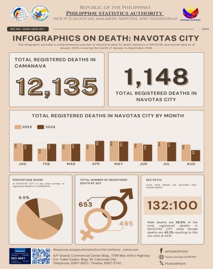 Infographics on Death: Navotas City