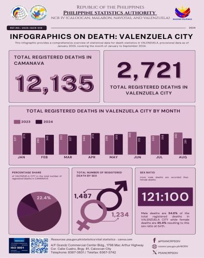 Infographics on Death: Valenzuela City