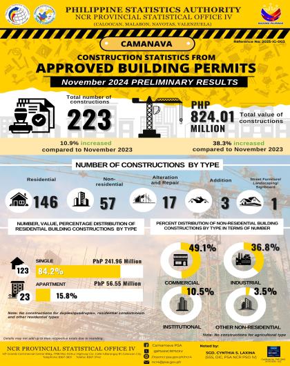 Construction Statistics From Approved Building Permits: CAMANAVA ( November 2024 Preliminary Results)