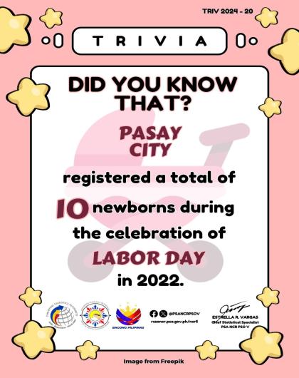 Trivia on Number of Registered Newborns during the celebration of Labor Day in Pasay City in 2022